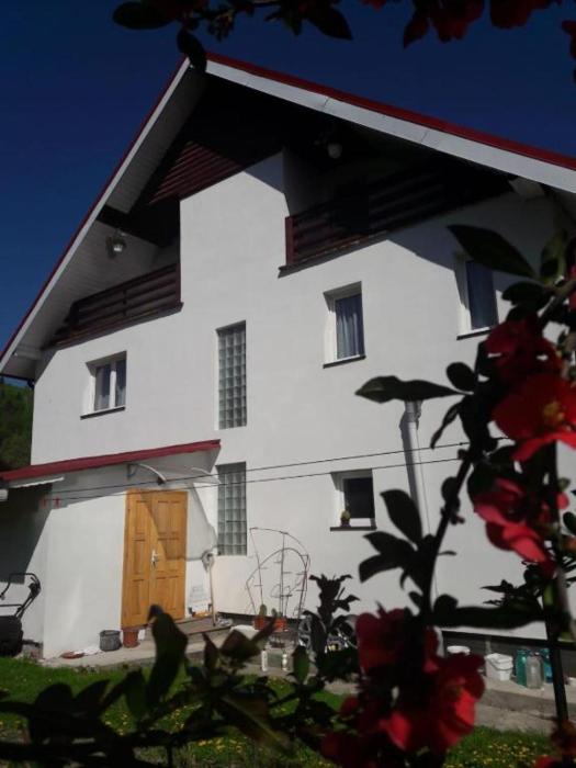 Casa Ionela nr 13- Complex de pensiuni si Casute la Munte
