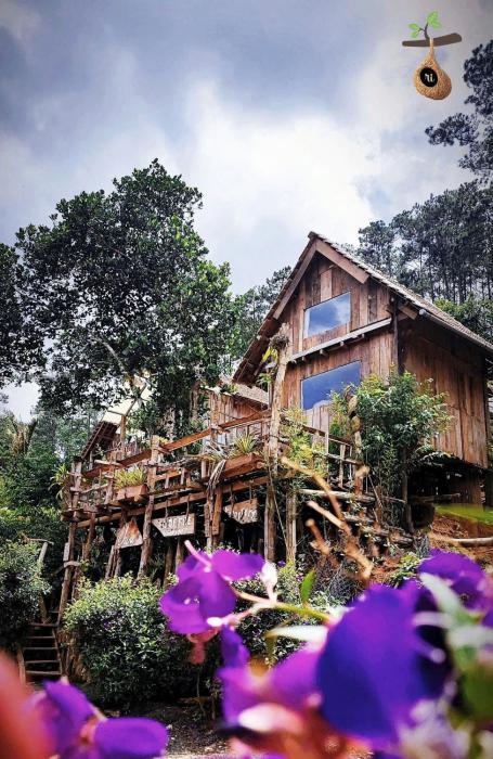 Tổ Chim Ri Homestay Măng Đen