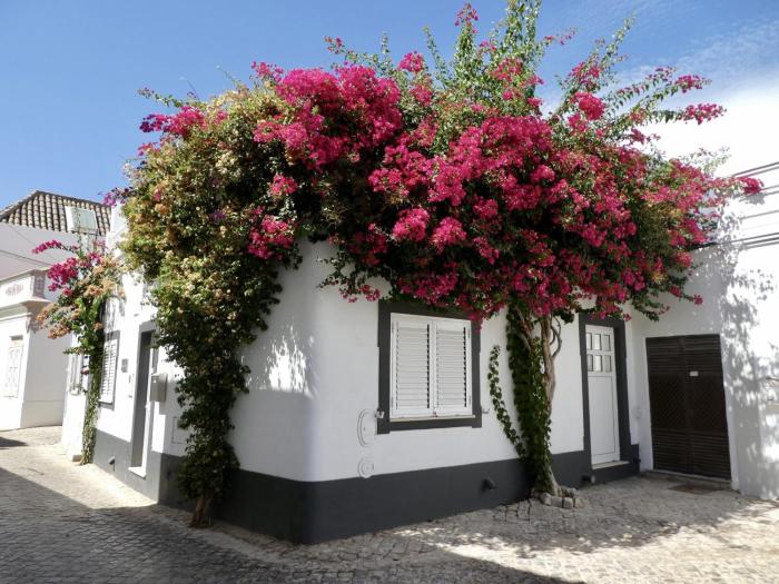 BeGuest Tavira Colinas da Boavista