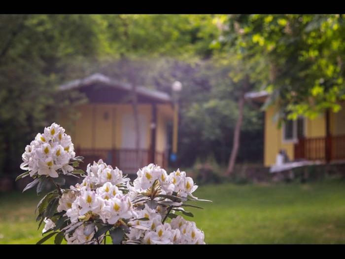 2 persons Bungalow in lovely and familial area