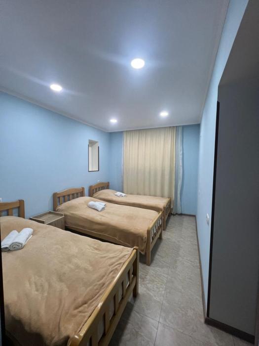 Guest House Lile