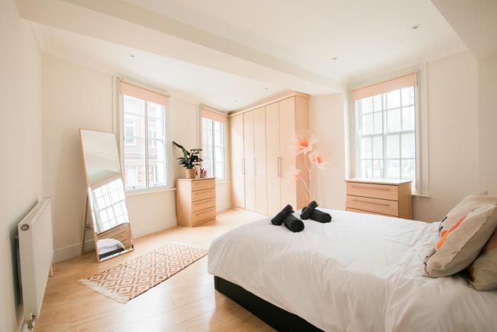 Westminster apartments with kitchen and separate bathroom near Big Ben