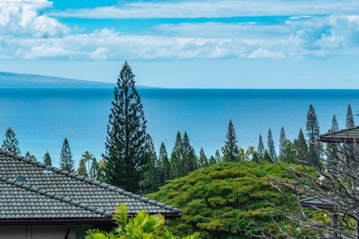 Kapalua Golf Villas Ocean View 2 BR Sleeps 6 Villas Perfect for Golfers Complimentary Car with 6 Nights KGV-21P2 by KBM