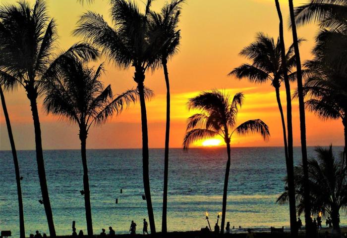 Whaler Ocean View 1 BR Sleeps 3 Steps to Beach Complimentary Car with 6 Nights WH1-1211 by KBM