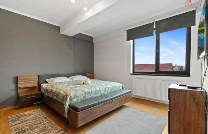 Apartament un Dormitor in Baneasa