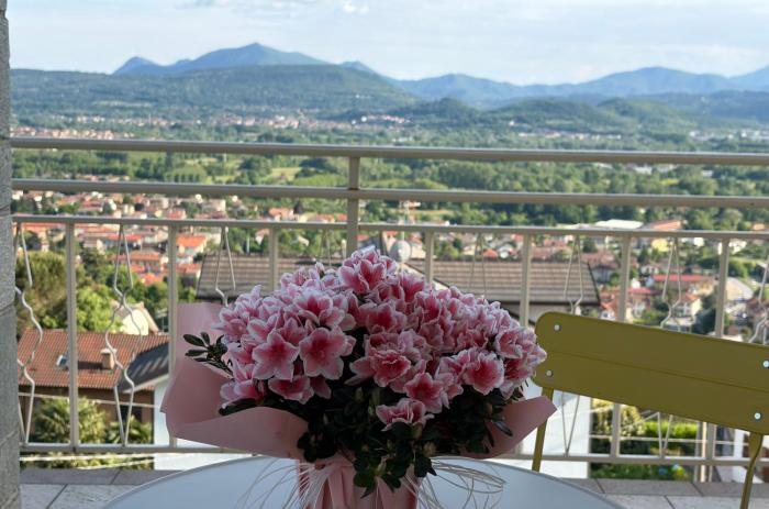 Un balcone sulla Valle di Susa, Fiori e Frutti