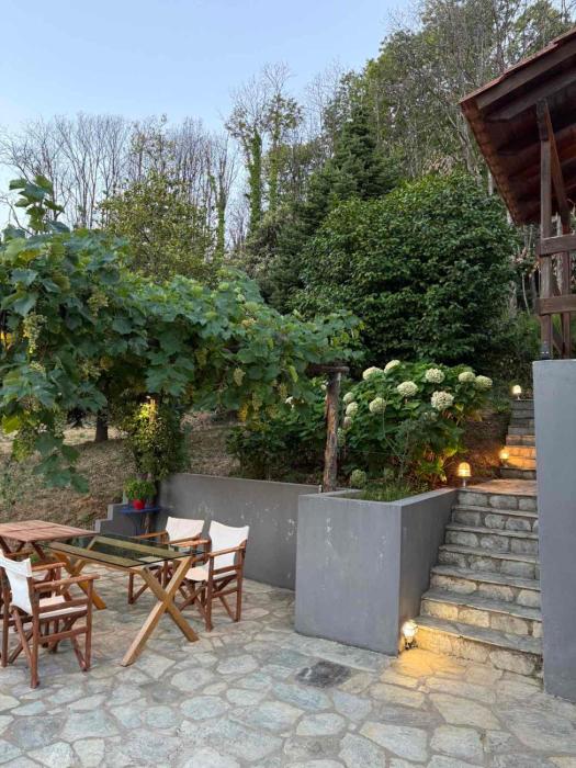 The Forest House in Pelion