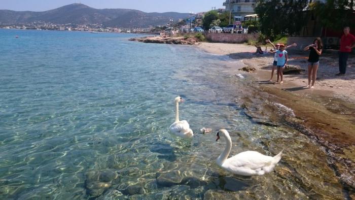 Seafront Porto Rafti, 95 sq m close to airport, garden