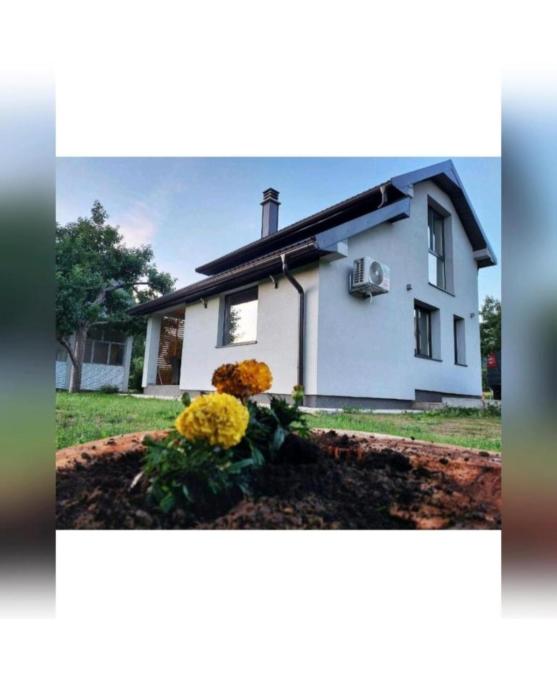 House For Rest VIN
