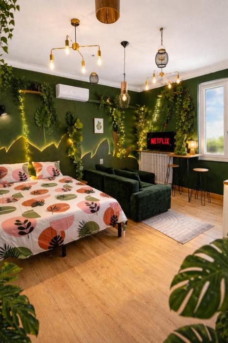 Le Studio Jungle climatisé