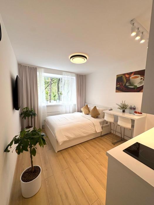 Mežaparks, Ezera Solo Apartment, free parking