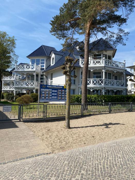 Silbermöwe im Haus Strelasund