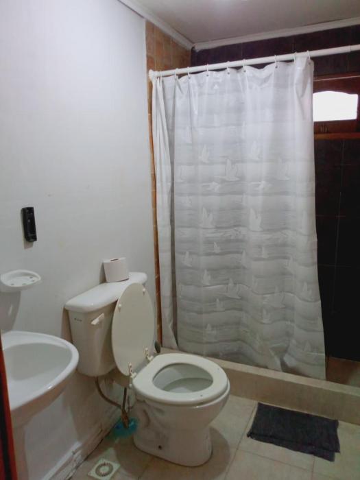 Departamento Los Ñires