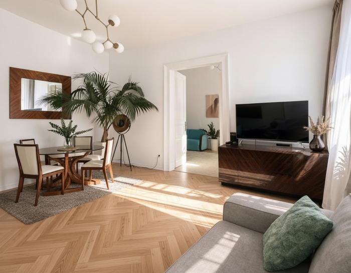 Aviator apartment in the city center