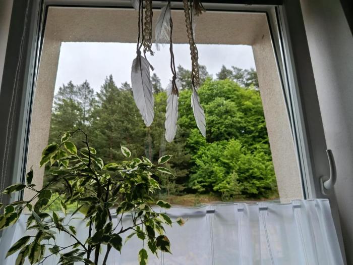 Apartmán s terasou REZIDENCE 300 Všemina