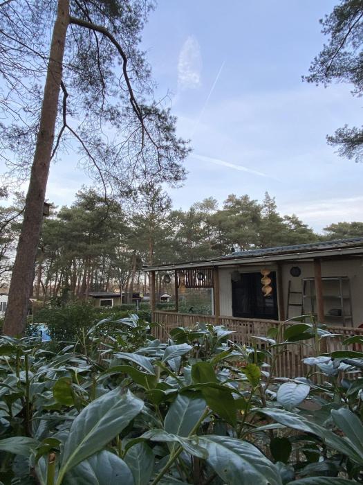 Recreatiepark Klein Zwitserland - Zomereik