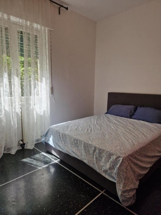 Tavakoli Apartment