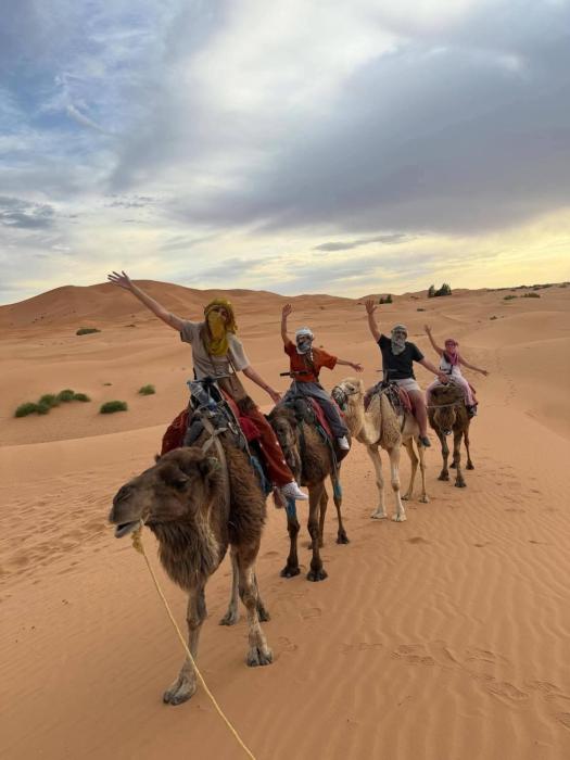 Desert Camel Trek