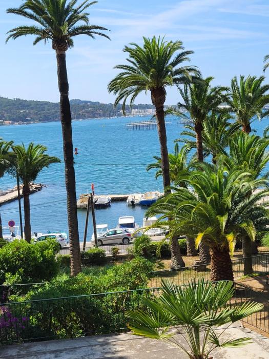 Tamaris bord de mer
