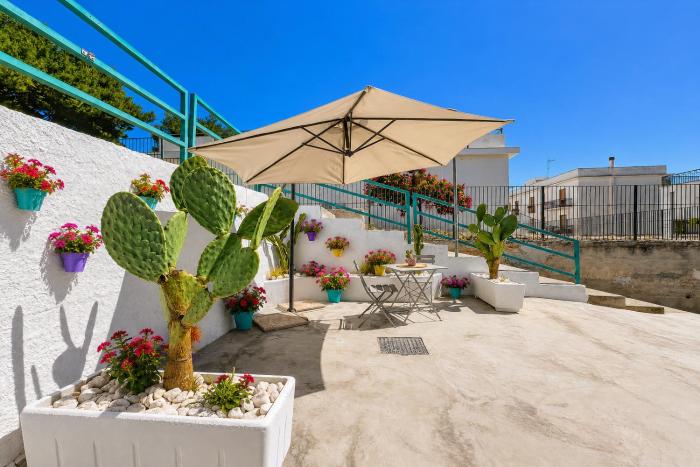Casa Mida