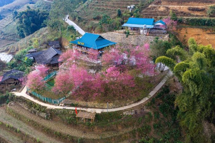 Nest hill retreat