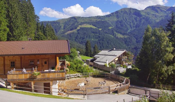 READYNOW Alpin Resonanz Camp für mentale Klarheit
