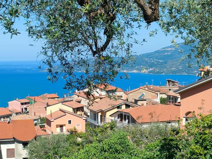 Casa Olivella