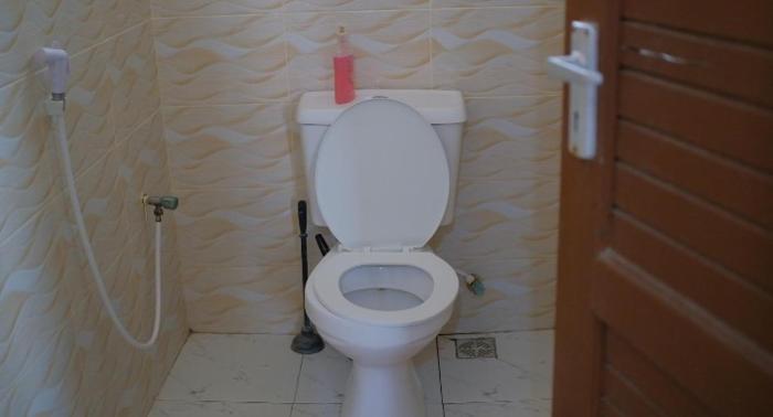 Dimash appartment
