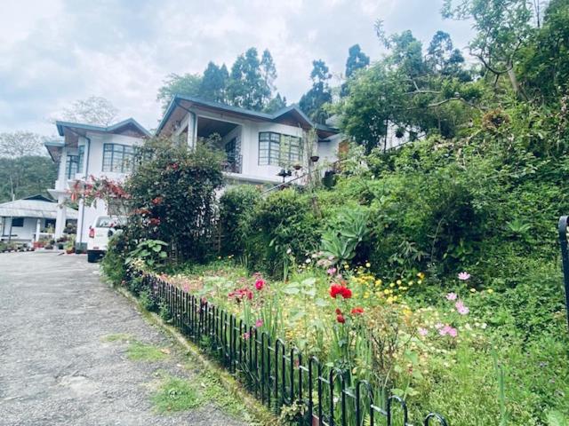 Grey Dove Homestay