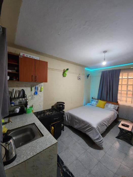 Neon Studio apartment in Juja near Jkuat
