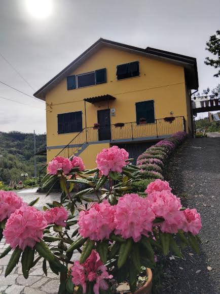 La valle fiorita