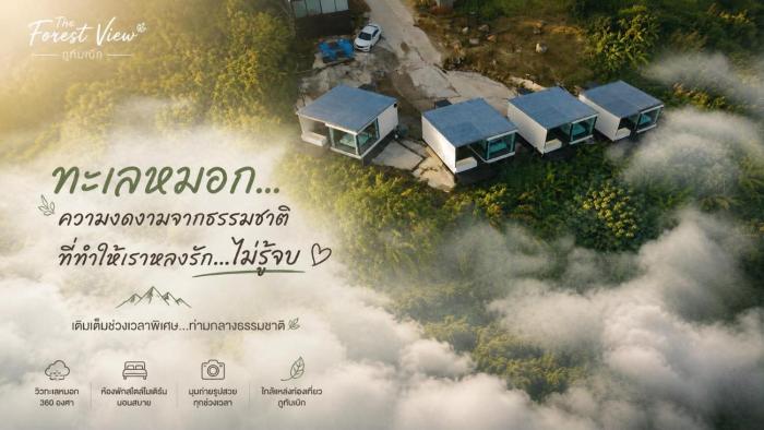 The Forest View ภูทับเบิก