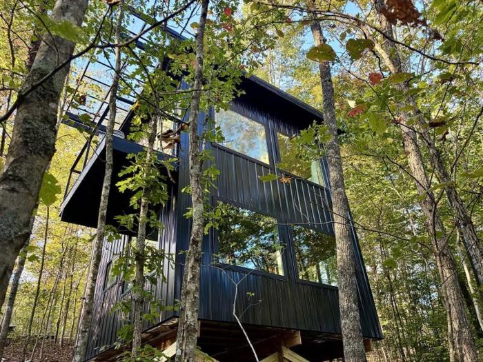 Come stay in a magical cabin with a bedroom in the trees