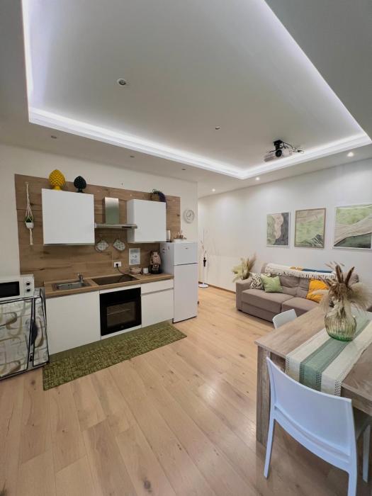 Cocciu DAmuri Apartment
