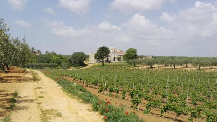 Agri Experience - Case Gentile