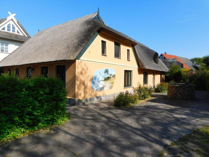 Sterntaucher 4
