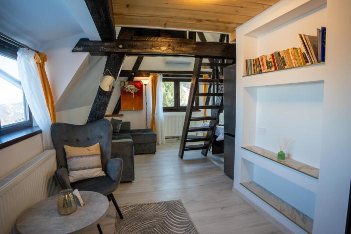 Barrique Milescu 5-5- Breakfast delivered & Minibar - Free Parking - Old Town