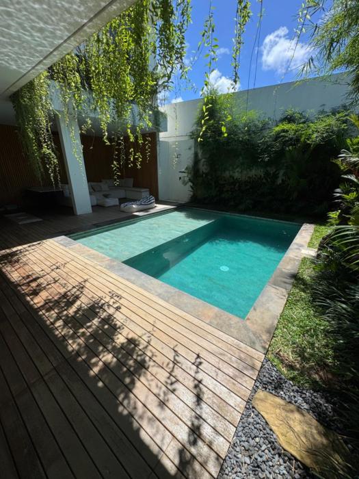 Jungle Oasis