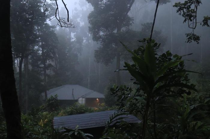 HostelExp, Munnar - A Bungalow Farm Experience