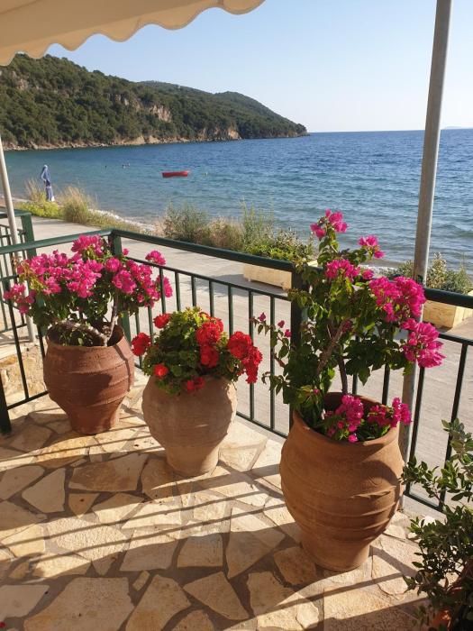 Loutsa Finikounda 2room Apartment on the beach
