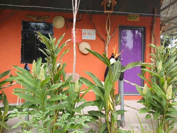 Farm home Lucky home- Indian Friendly