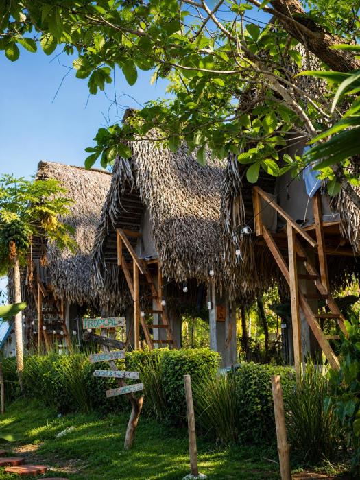 sasy tropical stay