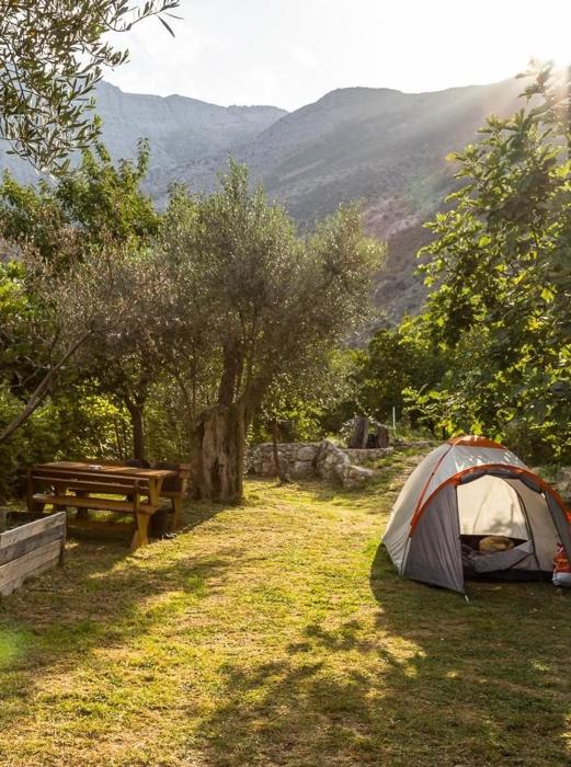 My Olive Garden Camp