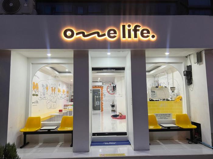 One life Hostel