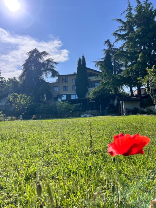 Villa Milena