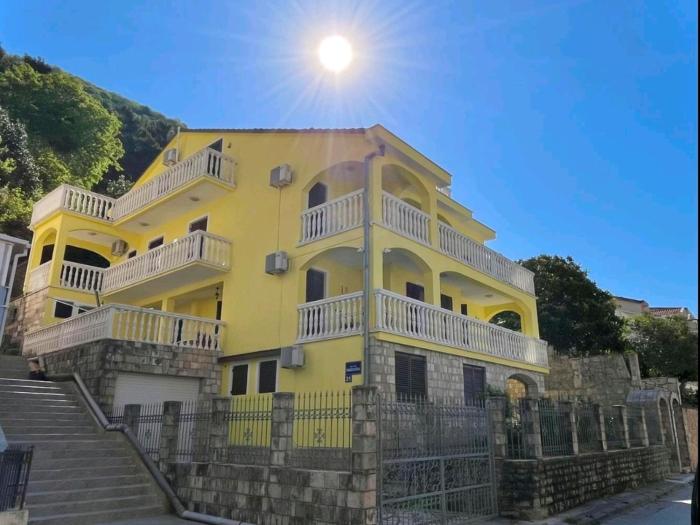 Nikolić Sonnenschein