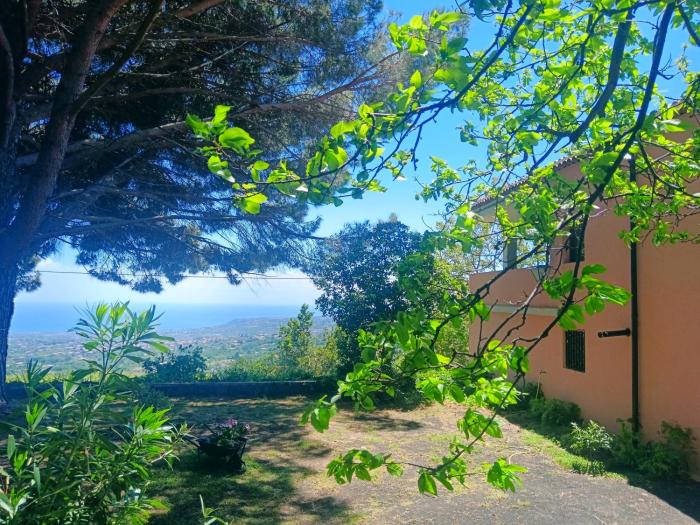 Etna Antico palmento