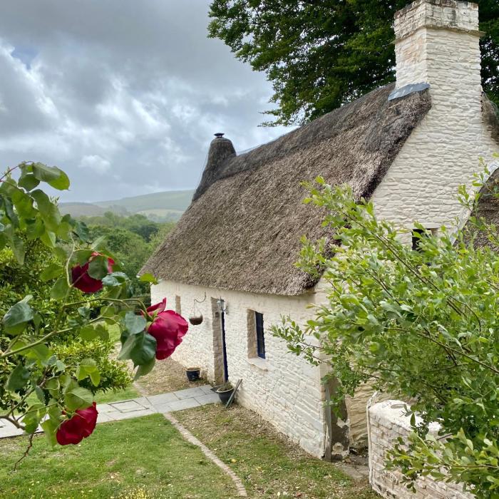 Fairytale Welsh thatched cottage with hot tub - VEGETARIAN