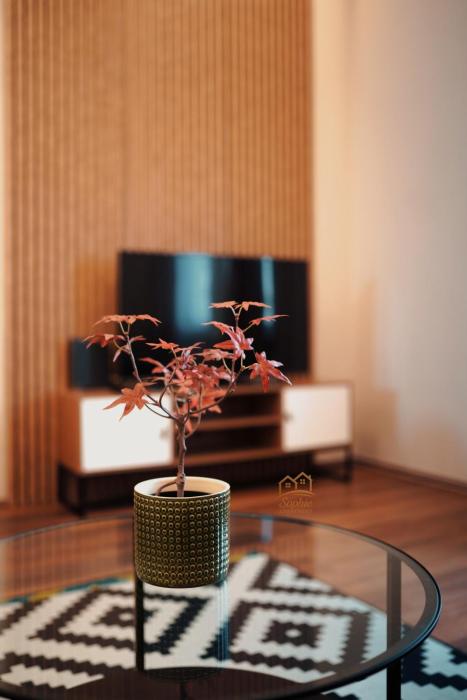 Boutique Apt above Karavan street