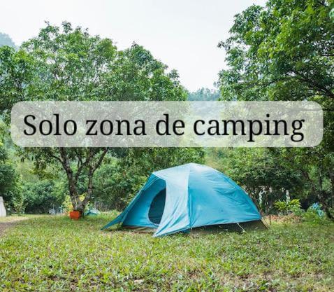 Ecocamping oasis